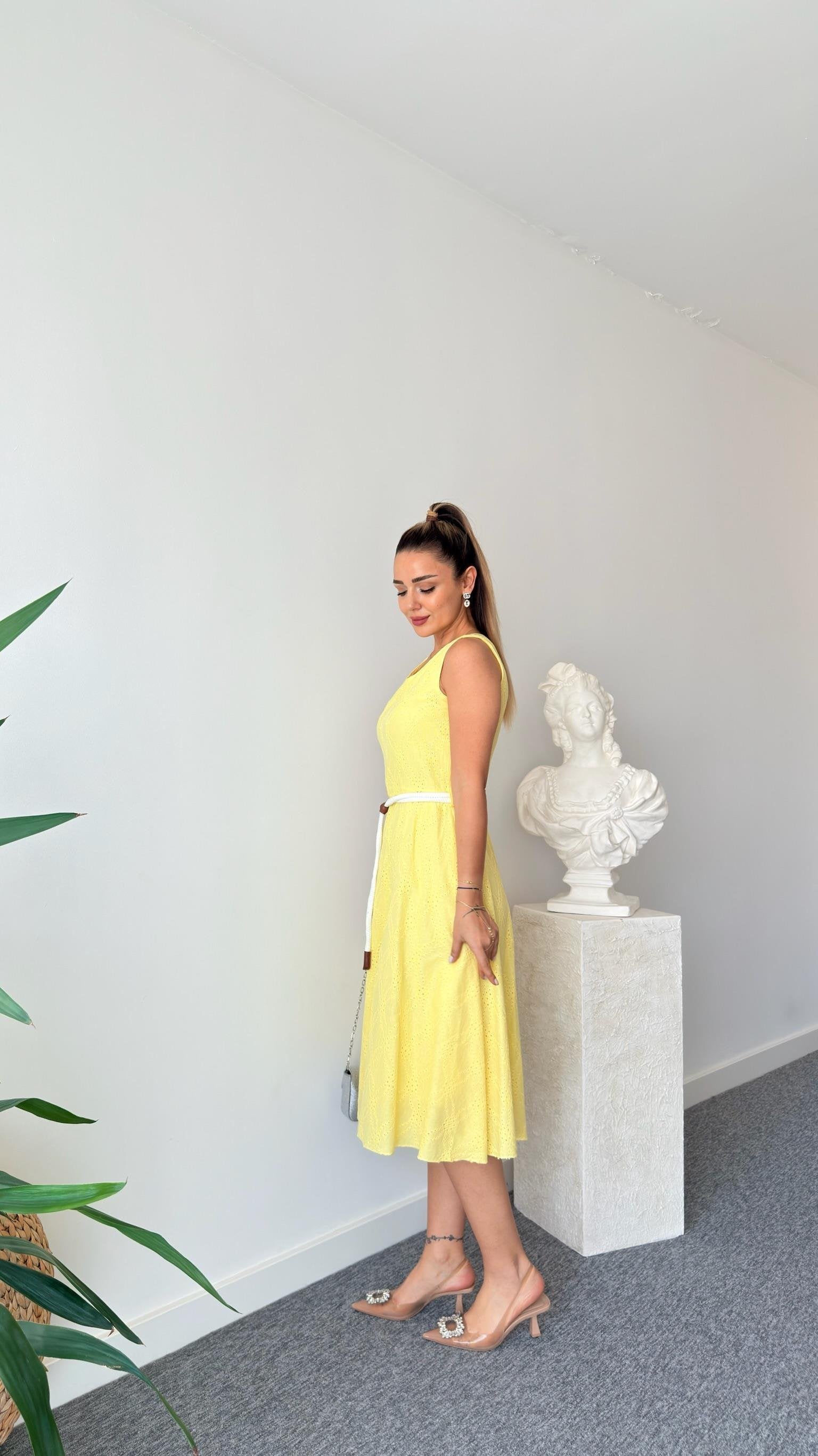 Yellow Rope Belted Festoon Dress