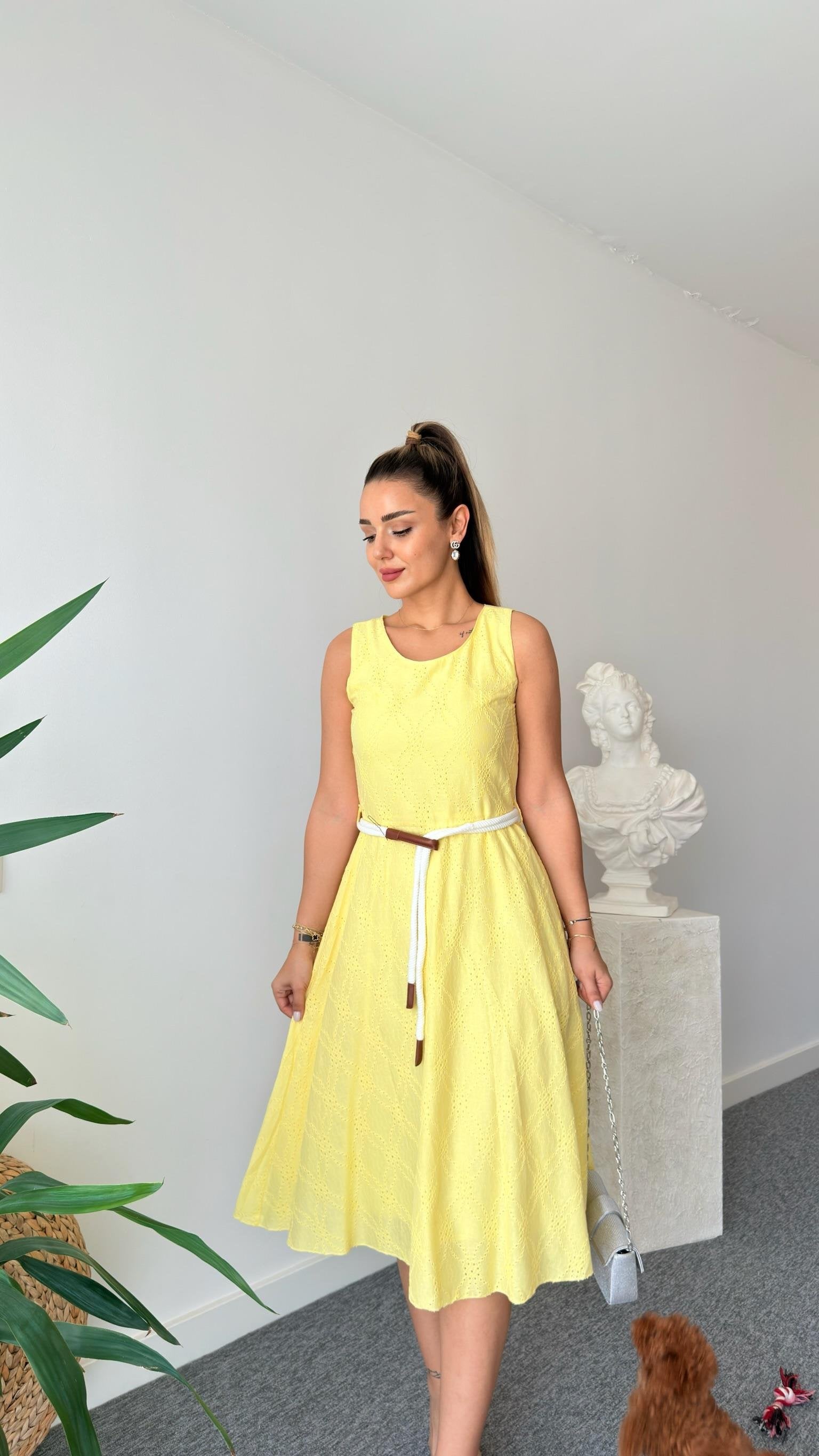 Yellow Rope Belted Festoon Dress