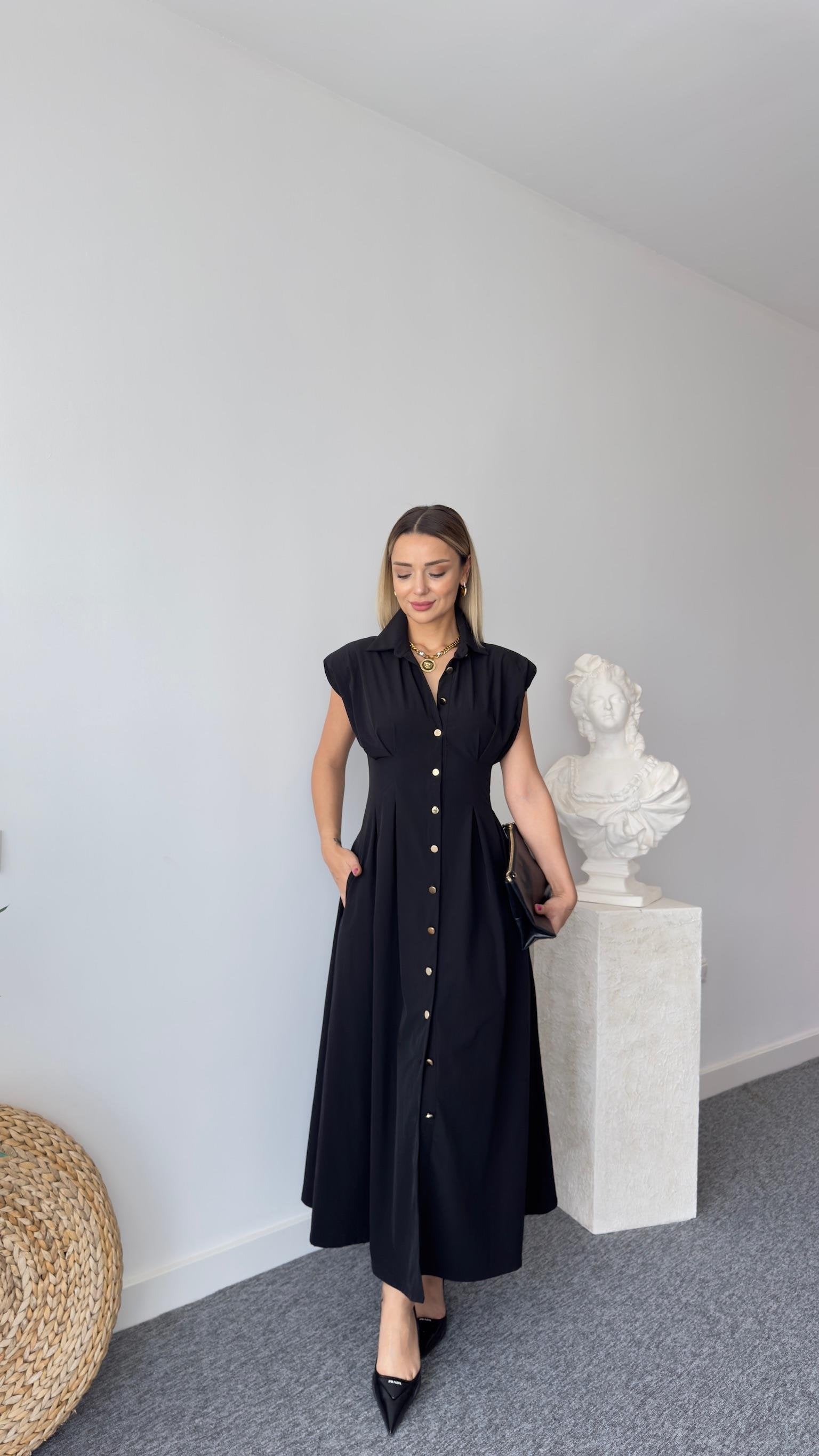 Jene Button-Down Pleated Black Dress