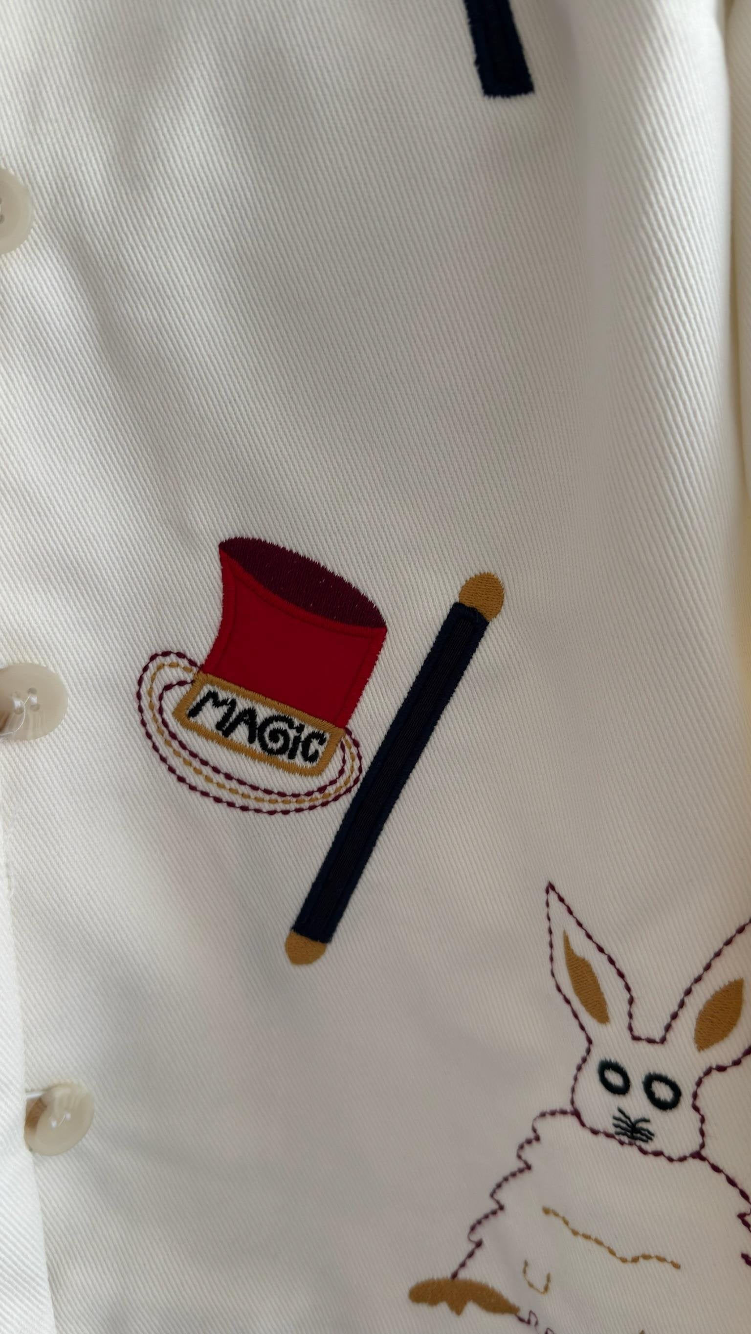 Pinterest Embroidered Design Jacket