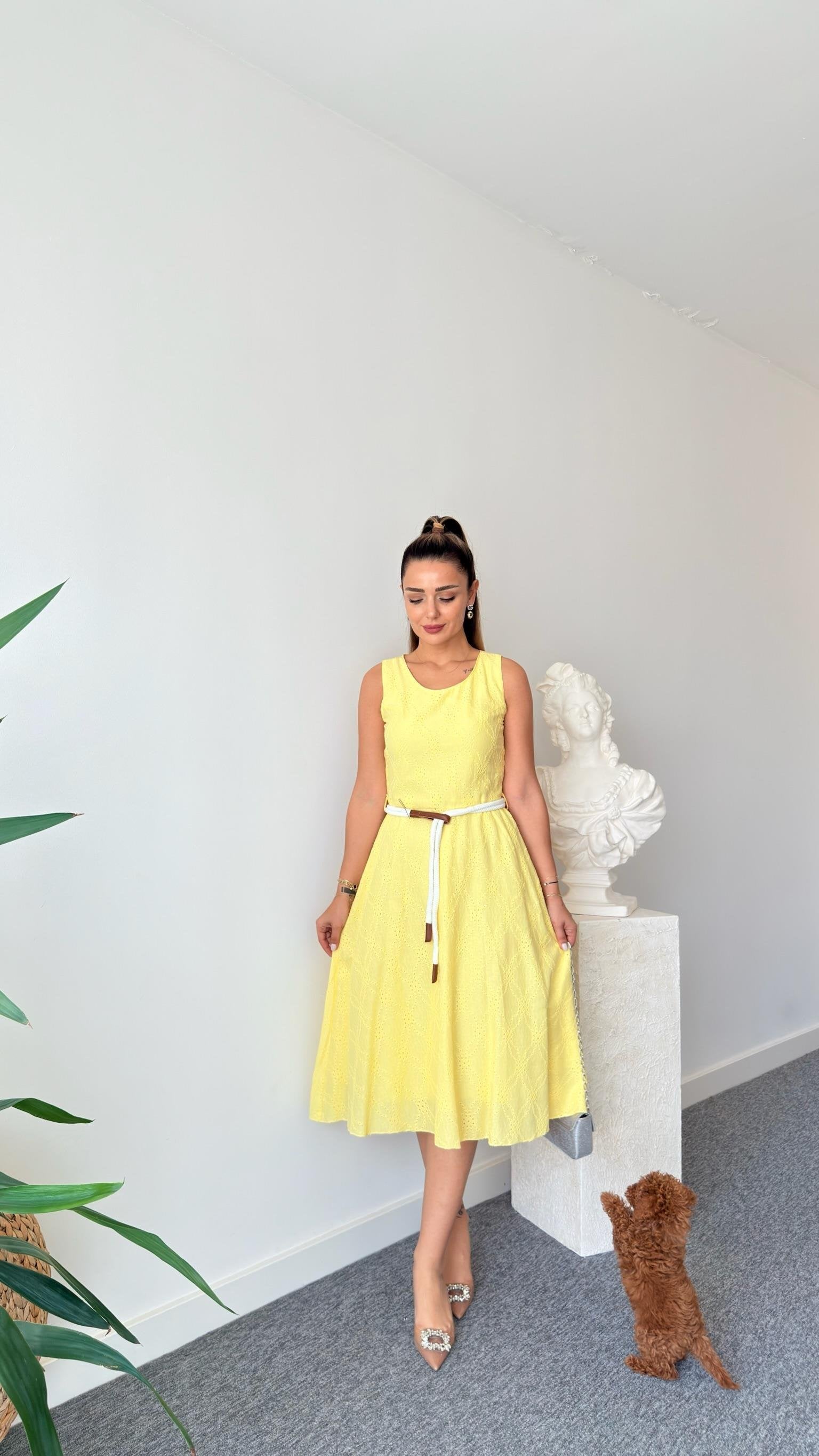 Yellow Rope Belted Festoon Dress